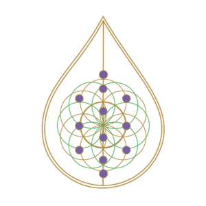 IDF Card - Advanced EMF Protection